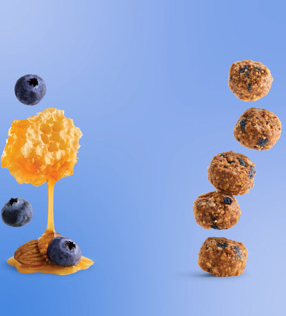 Blueberry Honey Almond Granola Bites