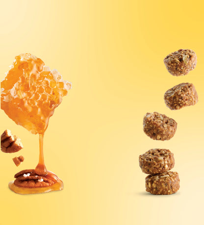 Salted Honey Pecan Granola Bites